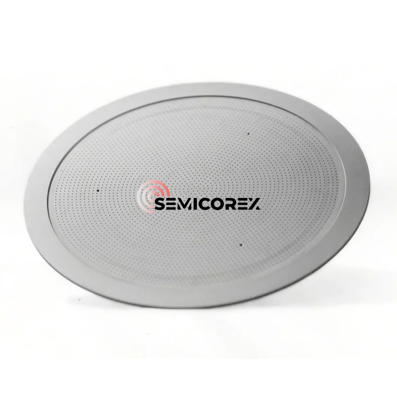 Kepala pancuran CVD SiC